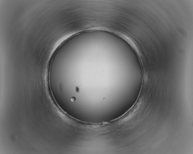 X0000113161149200909181806