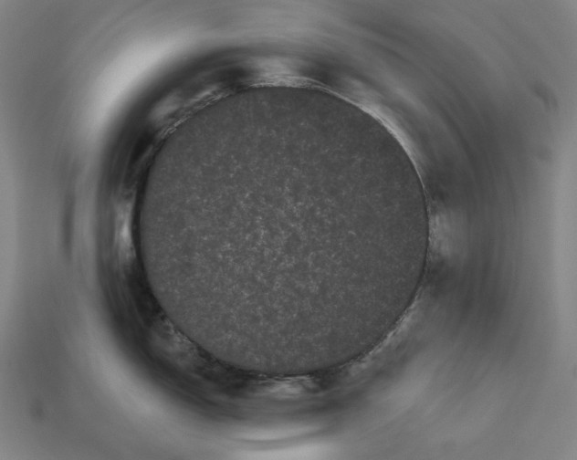 X0000113161150200909181806