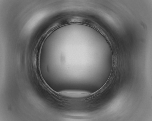 X0000113161151200909181806