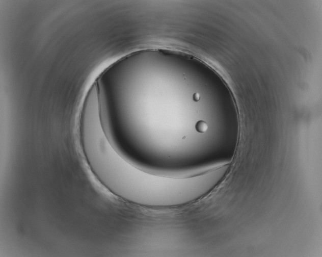 X0000113161152200909181806