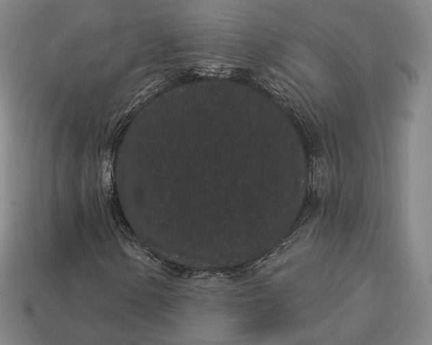 X0000113161154200909181805