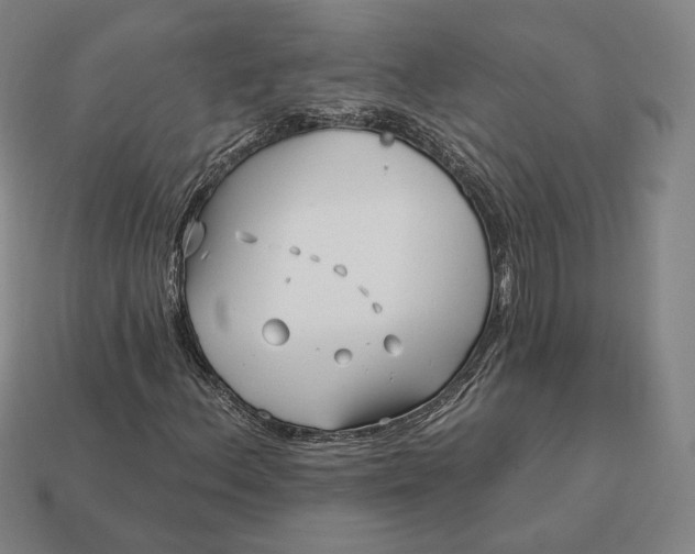 X0000113161156200909181805