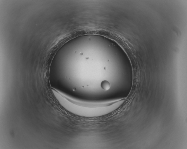 X0000113161157200909181805