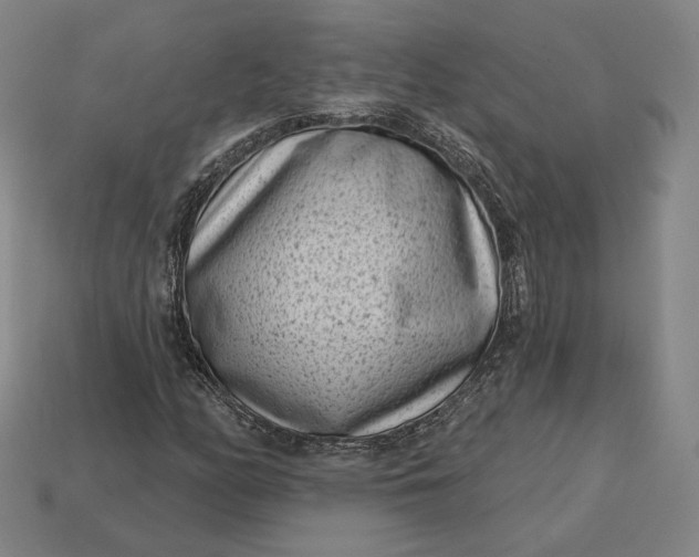 X0000113161158200909181805