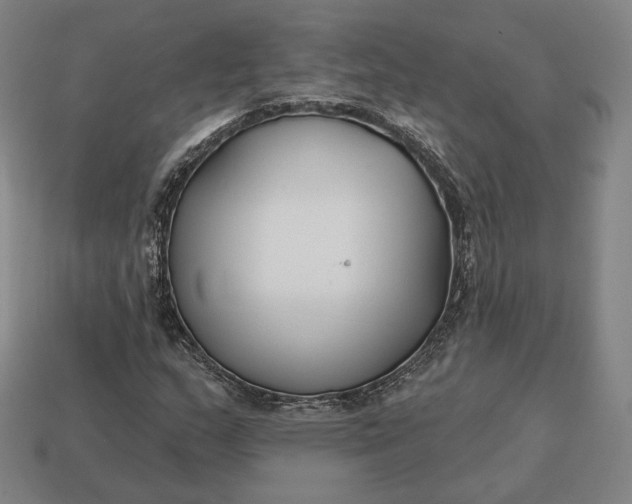 X0000113161159200909181805