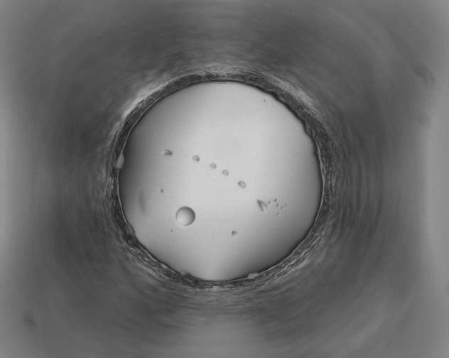 X0000113161160200909181805