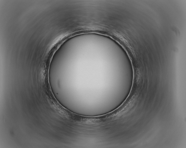 X0000113161163200909181805