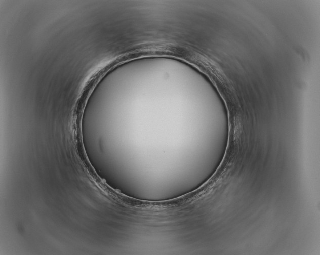 X0000113161164200909181805