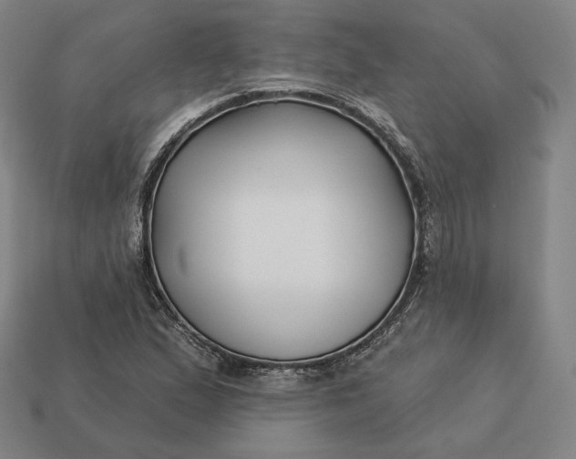 X0000113161167200909181805