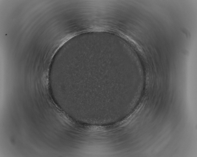 X0000113161170200909181805