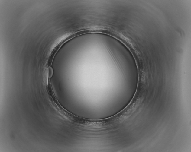 X0000113161171200909181805