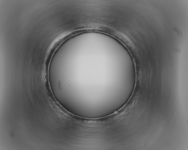 X0000113161172200909181805