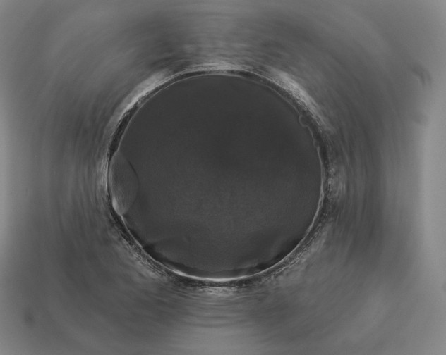 X0000113161173200909181805