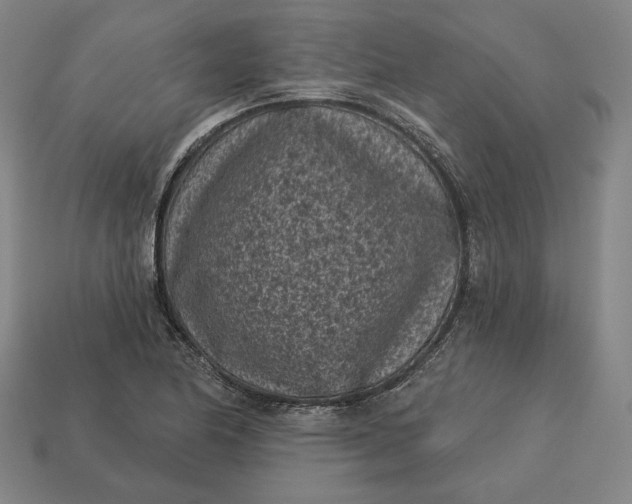 X0000113161174200909181805