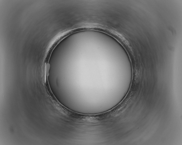 X0000113161175200909181805