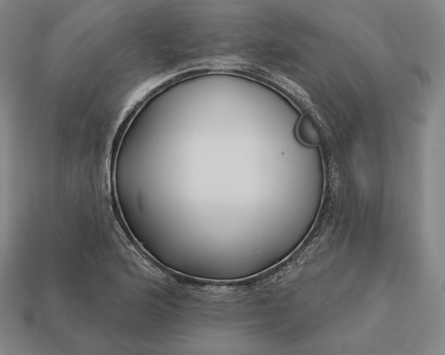 X0000113161176200909181805