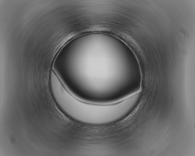 X0000113161177200909181805