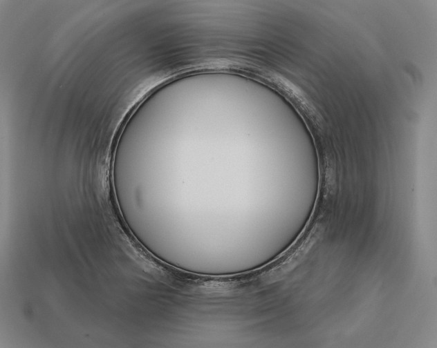 X0000113161178200909181805