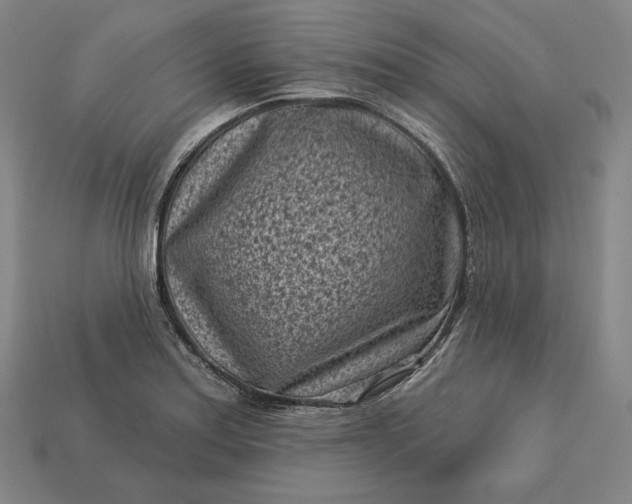 X0000113161179200909181805