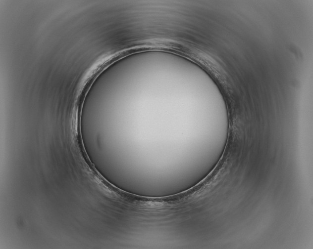 X0000113161180200909181805