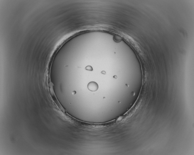 X0000113161184200909181805