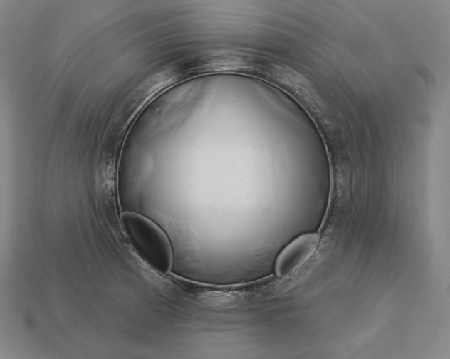 X0000113161185200909181805