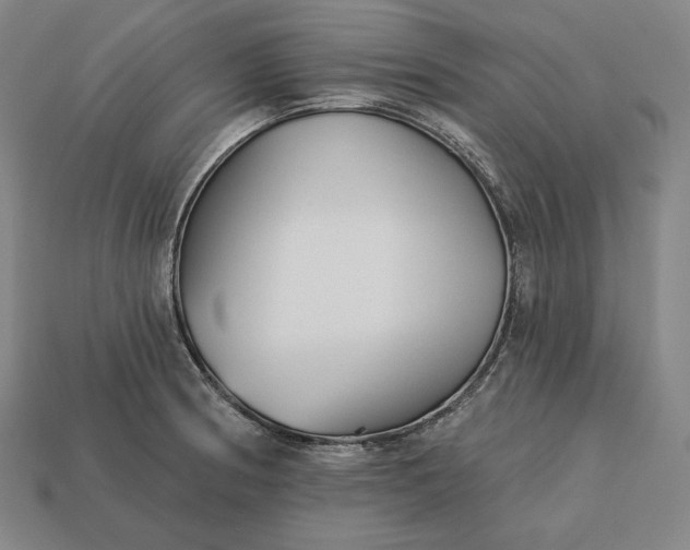 X0000113161186200909181805