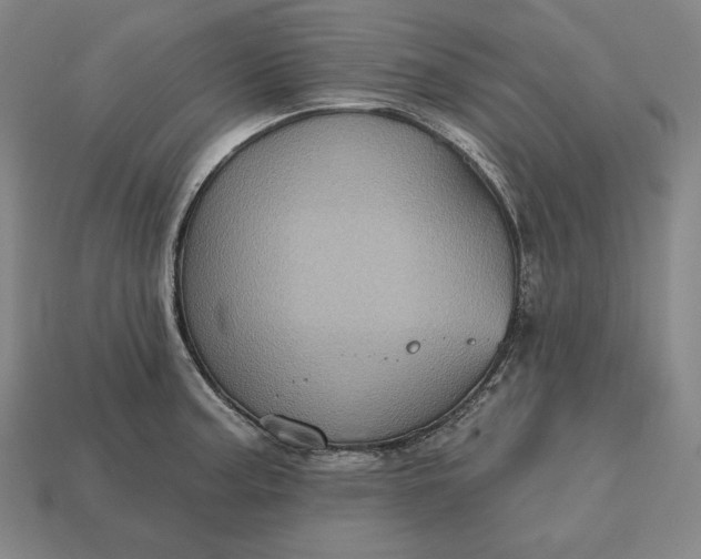 X0000113161187200909181805