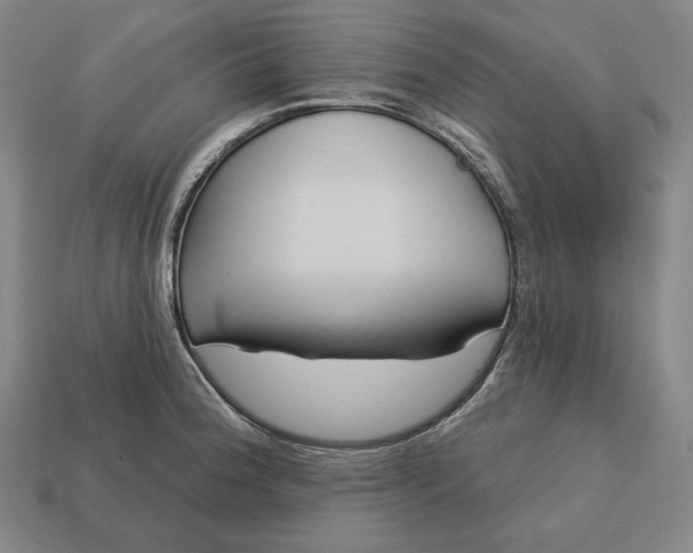 X0000113161188200909181805