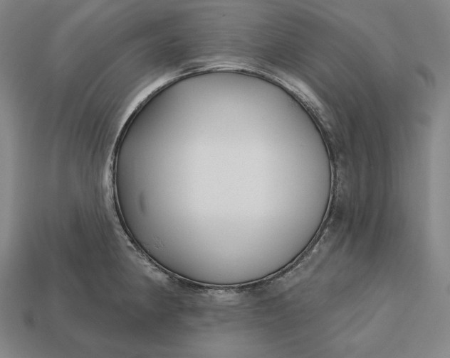 X0000113161190200909181805