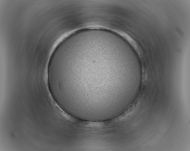 X0000113161191200909181805