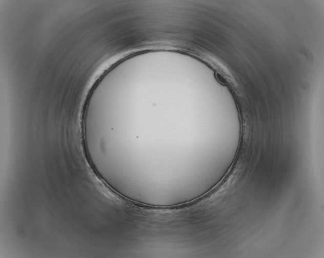 X0000113161192200909181805