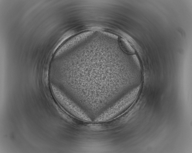 X0000113161194200909181805