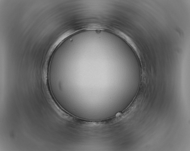 X0000113161195200909181805