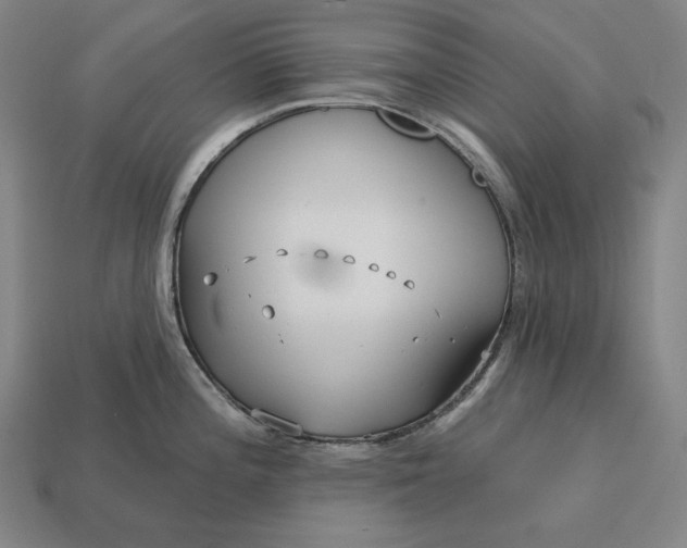 X0000113161196200909181805