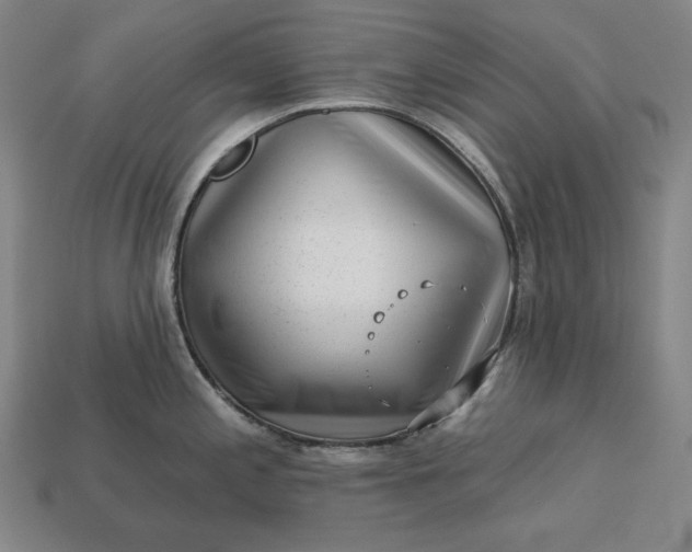 X0000113161197200909181805