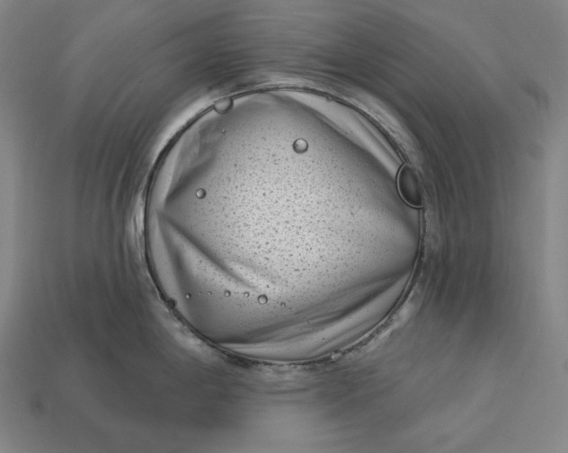 X0000113161198200909181805