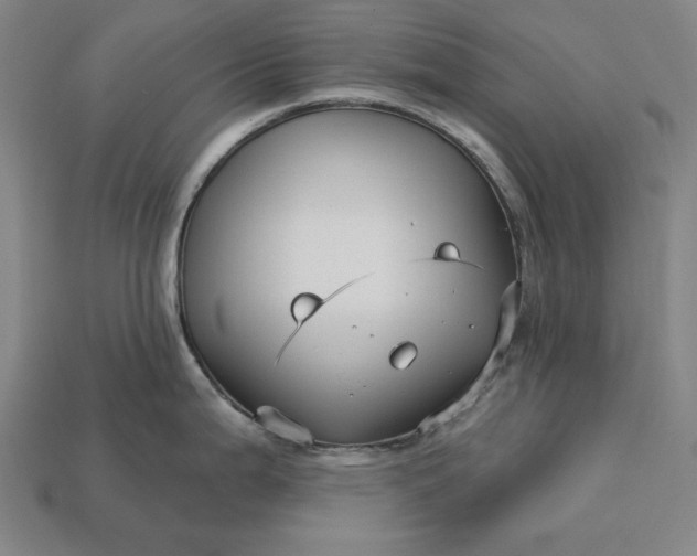 X0000113161199200909181805