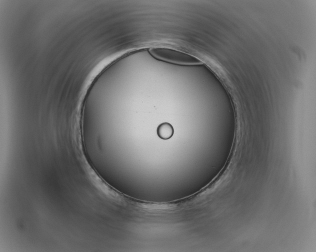 X0000113161200200909181805