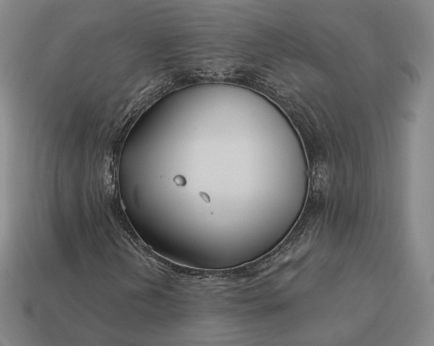 X0000113161202200909181804