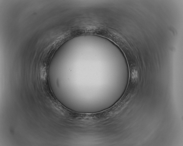 X0000113161204200909181804