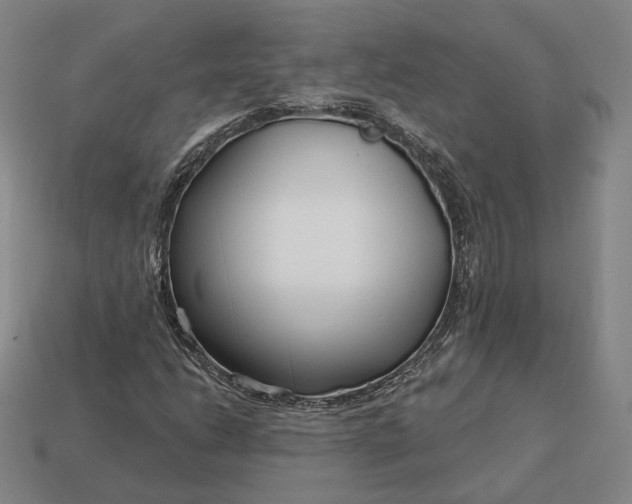 X0000113161206200909181804