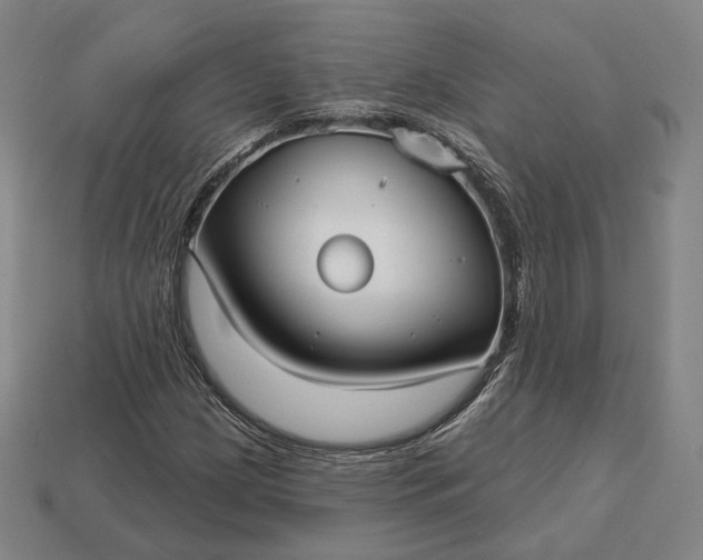 X0000113161209200909181804