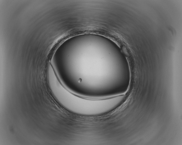 X0000113161210200909181804