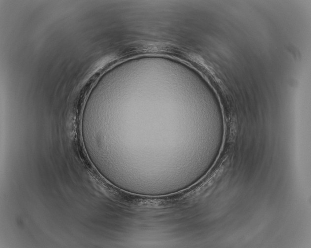 X0000113161211200909181804