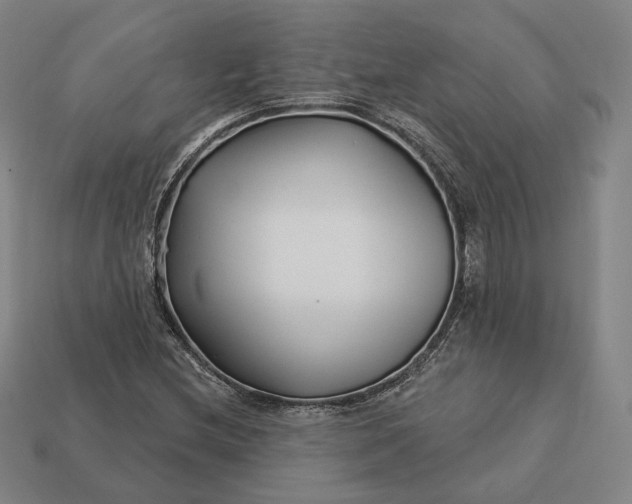 X0000113161212200909181804