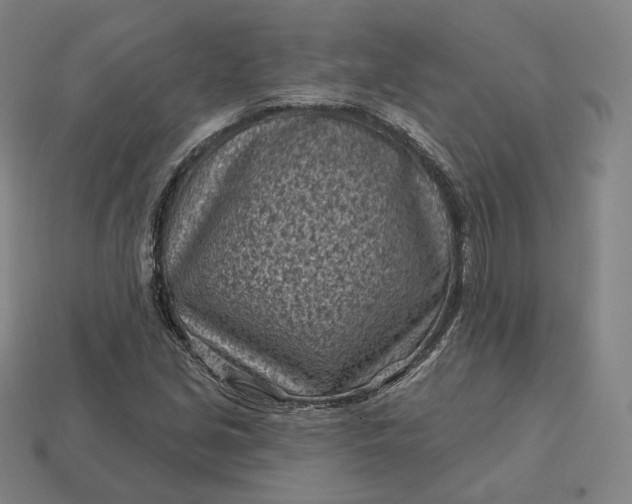 X0000113161213200909181804