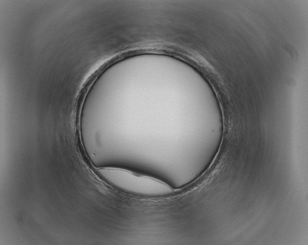 X0000113161216200909181804