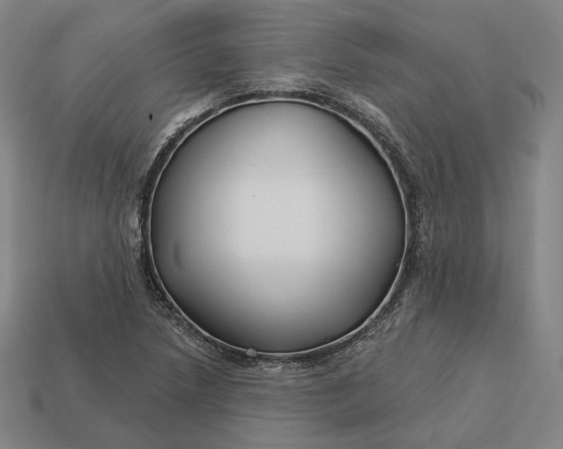 X0000113161218200909181804