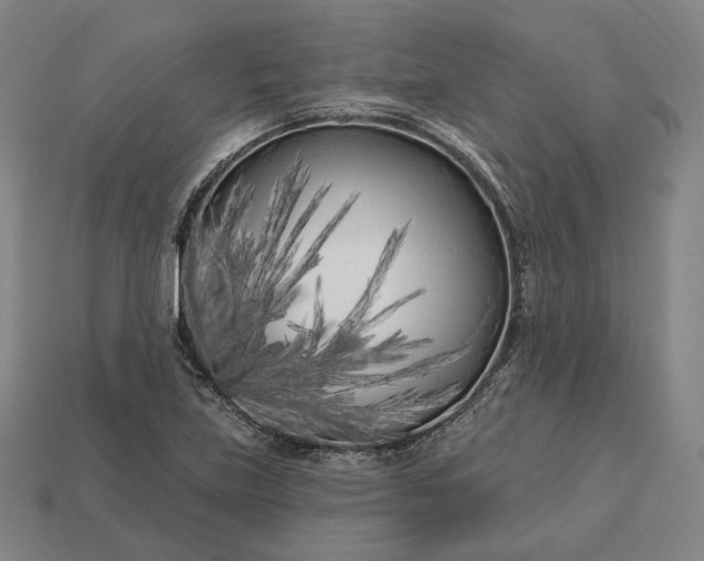 X0000113161219200909181804